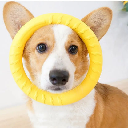 Durable Ring Fetch Toy