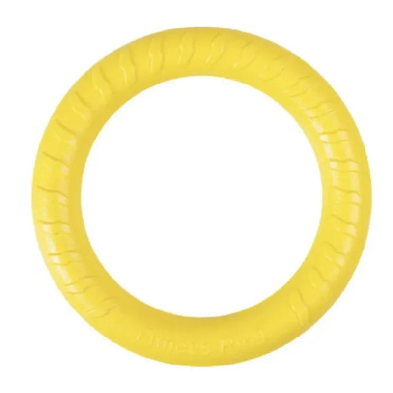 Durable Ring Fetch Toy