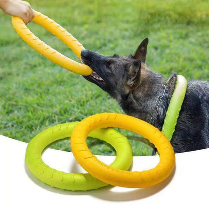 Durable Ring Fetch Toy