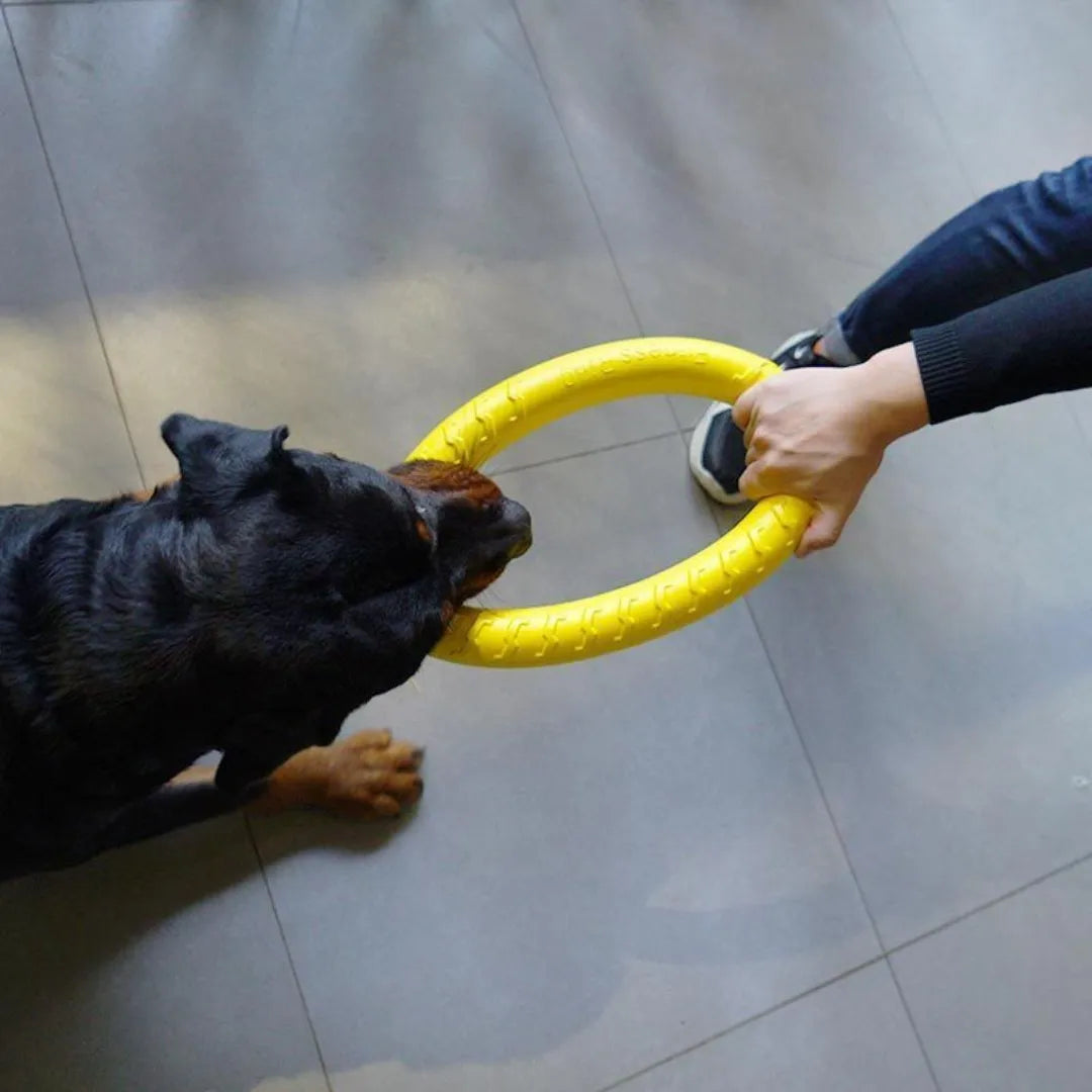 Durable Ring Fetch Toy